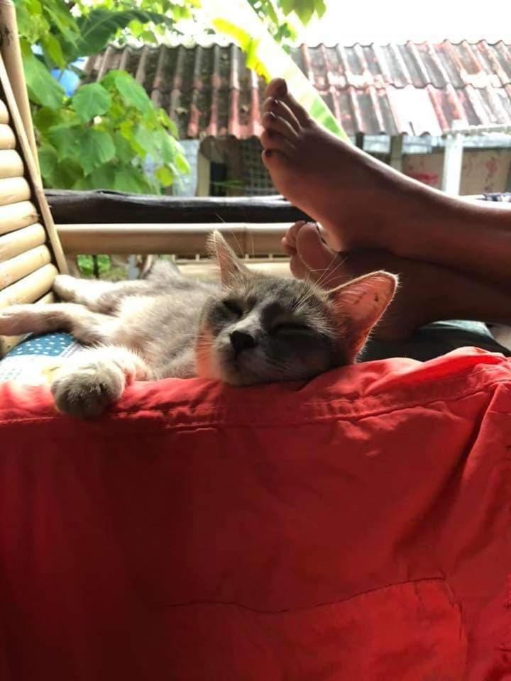 Angel Lanta Bungalow Ko Lanta エクステリア 写真